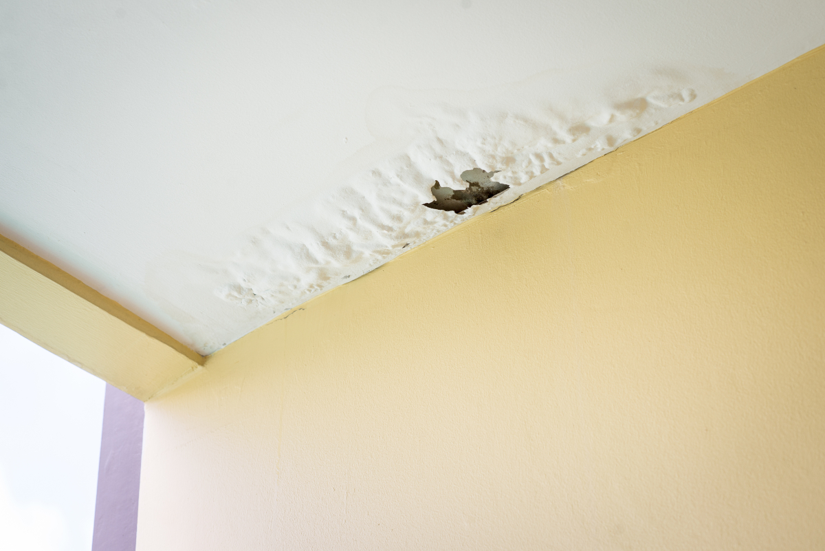 Ceiling damage after roof starts leaking during a storm